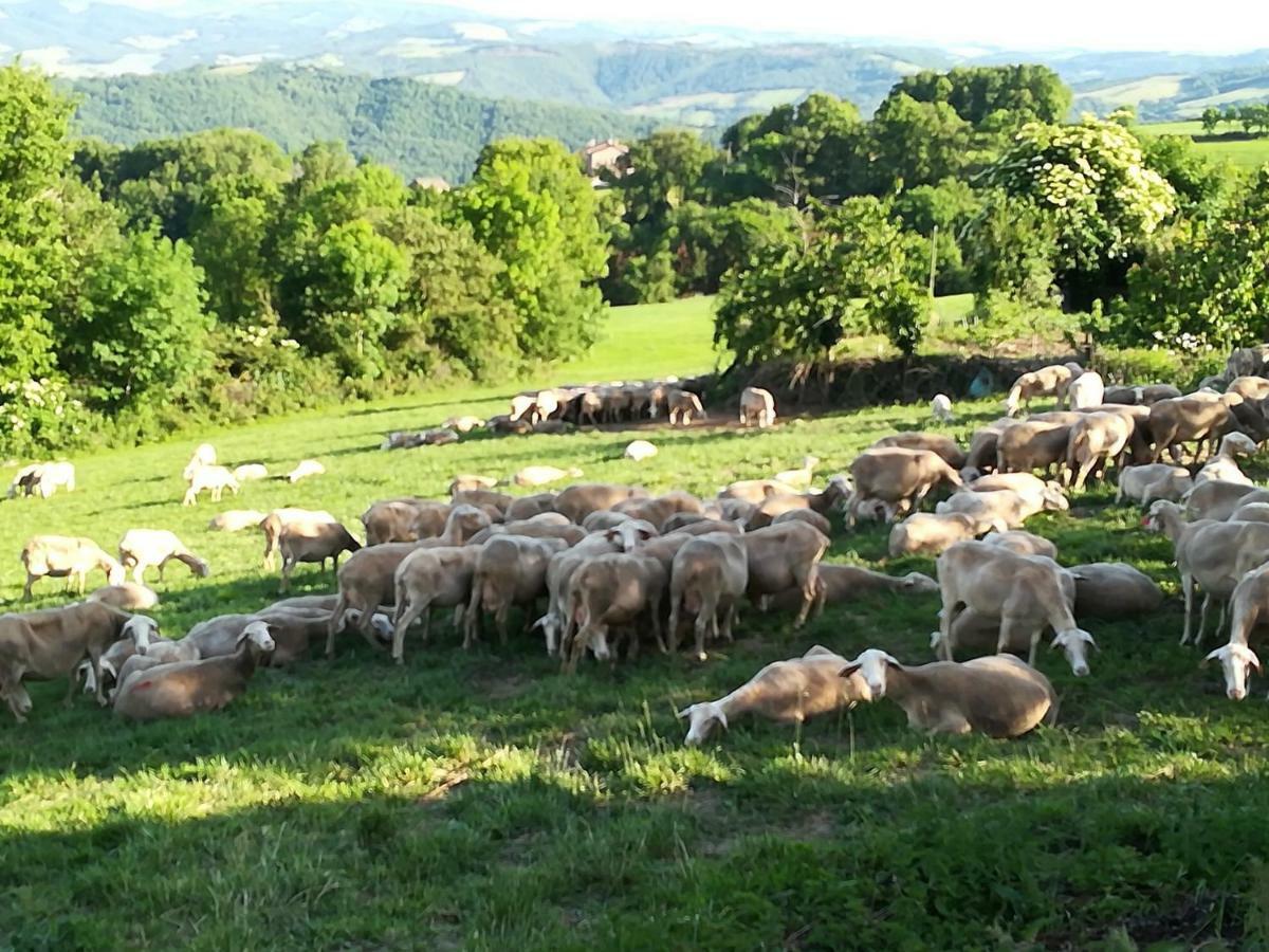 La Caze Gites Broquies Dış mekan fotoğraf